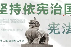 部编人教版初中道法八下2.1坚持依宪治国视频封面