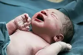 人能“活”到多少岁？其实早在出生时就定下了，看完你就知道了视频封面