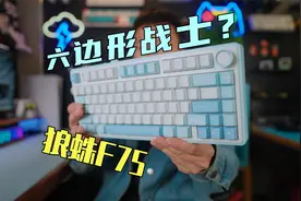 测评狼蛛F75客制化键盘，200+不知道选啥，就它？