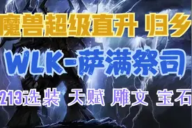 【魔兽世界】照着抄！超级直升萨满最佳配装 一键拾取排骨叮起来视频封面