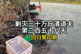 @抖音小助手 清道夫剿灭行动，最大难度就是研发其价值所在