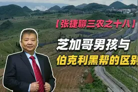 【张捷聊三农之十八】芝加哥男孩与伯克利黑帮的区别视频封面