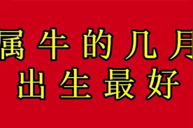 属牛的几月出生最好视频封面
