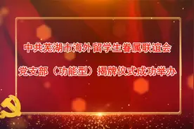 芜湖市海外留学生眷属联谊会党支部揭牌仪式视频封面