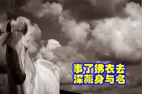 品鉴唐诗 事了拂衣去 深藏身与名 李白 《侠客行》视频封面