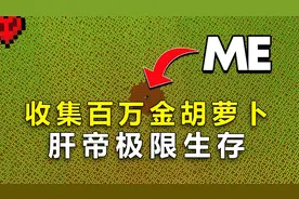 我的世界：肝帝极限生存，见过收集饼干的，没见过收集金胡萝卜的