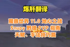 【爆肝翻译】魔兽世界11.0地心之战Snupy野德PVP指南（上）