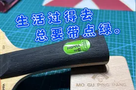 【蘑菇乒乓】冷门好拍！斯帝卡灵感碳素，手感优秀！