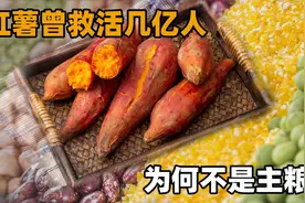红薯为什么不能当主食？曾拯救中国饥荒，现在“地位”不如土豆？视频封面