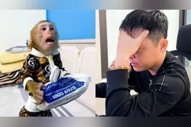 卡卡因担心父亲健康而拒绝工作视频封面