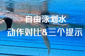 自由泳水下划臂的中、后阶段，持续保持水感的三点提示视频封面