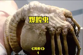 抱脸虫的任务就是播种《异形1》