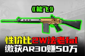 2万性价比FAL瞬秒3人