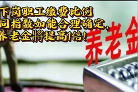 下岗职工缴费比例和视同指数如能合理确定，养老金将会提高一倍！视频封面