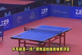 兵乓球：球员们必须瞬间做出准确的判断，比赛中压力紧张感非常高视频封面