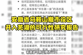 安徽省马鞍山撤市设区，并入芜湖的可行性研究报告
