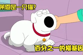 恶搞之家：布莱恩百分之一的猫咪基因，导致他开始变得越来越像猫视频封面