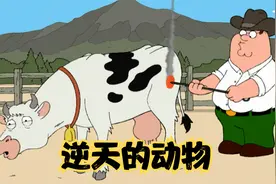 恶搞之家：只因承认自己脑残，皮特被送上电刑架