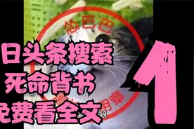 今日头条搜索
  死命背书
免费看全文视频封面