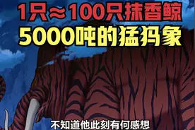 5000岁的太古猛犸象，体型高达5000万吨，1只约等于100只抹香鲸视频封面
