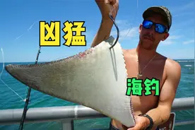 史上最凶猛的海钓，30斤的极品黄貂鱼，直接用来做诱饵！视频封面