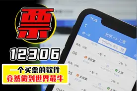 12306有多牛？全球最强购票软件，黄牛都给干趴了视频封面