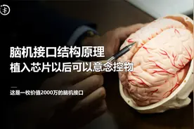 脑机接口的结构原理，植入芯片以后可以实现意念控制万物