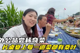 带外公品尝稀奇菜，长桌宴上每一道菜都有桑叶，你们喜欢哪一道呢视频封面
