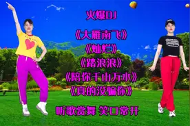 火爆DJ《大雁南飞》《灿烂》《陪你千山万水》《真的没骗你》