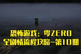 【PC单机】恐怖游戏：零zero·中文版~全剧情流程攻略·第10期视频封面