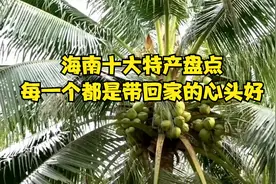 海南十大特产盘点：每一个都是带回家的心头好
