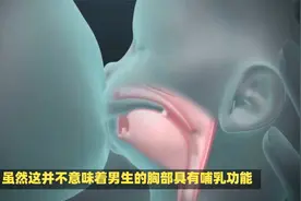男性胸部为什么也可以产奶？看完你就懂了