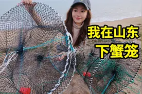 青岛海下蟹笼能抓到什么？真实的赶海收获，有鱼还有蟹！视频封面