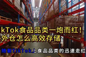 TikTok食品品类一炮而红！海外仓怎么高效存储视频封面