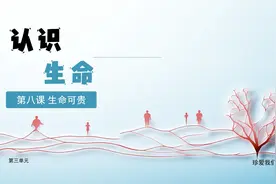 【道德与法治课】七上8.1认识生命