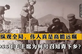 1956年，毛主席为何号召知青下乡？纵观全局，伟人真是高瞻远瞩2视频封面