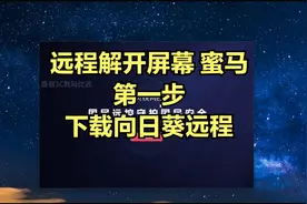 向日葵远程下载教程