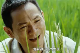 袁隆平意外发现天然杂交稻，却获得重大发现，培育出三系杂交稻