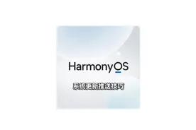 鸿蒙系统更新，自己手机却收不到推送？试一试这个方法