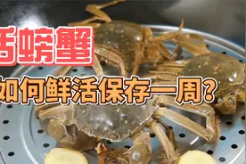 活螃蟹吃不完，放水里养就错了，这样存放一星期，照样鲜活饱满