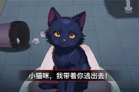 催泪，可爱的小黑猫其实是.....视频封面