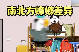 南北方蟑螂差异 #沙雕动画 #南北差异 #一定要看到最后