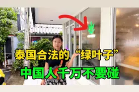 来泰国旅游，看到“绿叶子”产品千万不要碰，否则回国会有大麻烦