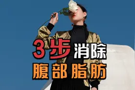 062.芍药汤----.flv视频封面