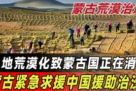 蒙古国正在消失？国家76%的土地荒漠化，蒙古请求中国援助治沙！视频封面