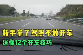 新手拿了驾照不敢开车，送你12个开车技巧，掌握后就放心大胆开视频封面