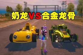 实测对比：合金龙骨VS飞驰奶龙龙皮肤谁更值得入手#和平精英