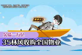 林风成功借来款项，大肆收购全国物业，回头却发现公司存在问题视频封面