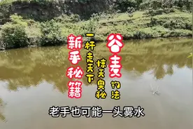 谷麦钓法惊天奥秘，一杆走天下的新手钓友钓鱼秘籍，谷麦逗钓技术视频封面