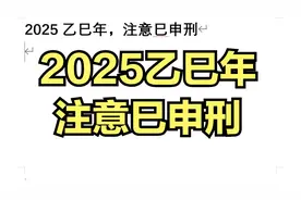 2025乙巳年，注意巳申刑视频封面